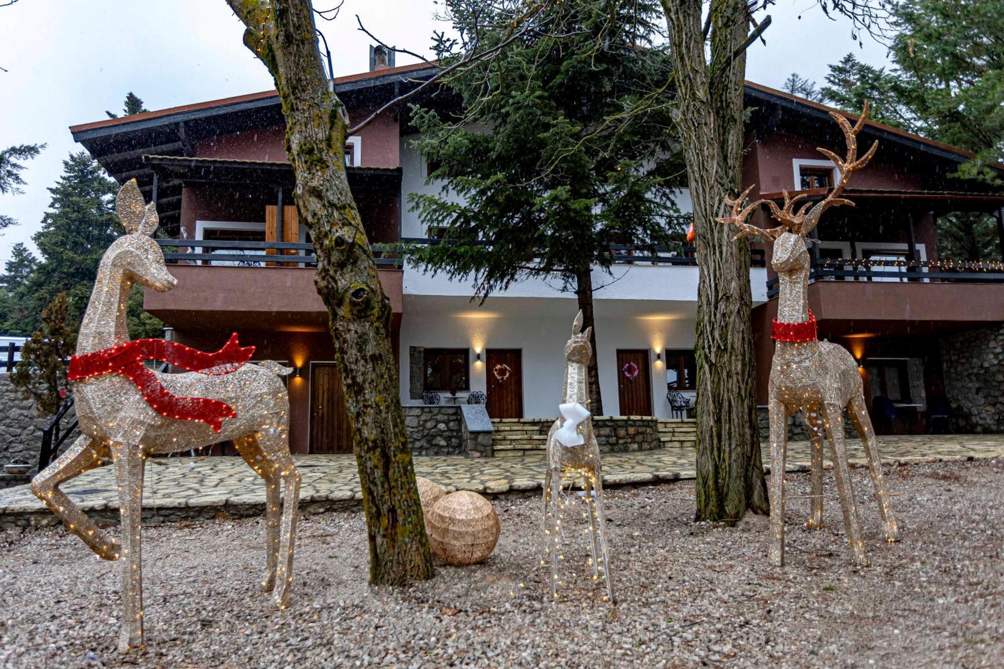 Hotel Mz Reindeer Kalívia Exterior foto